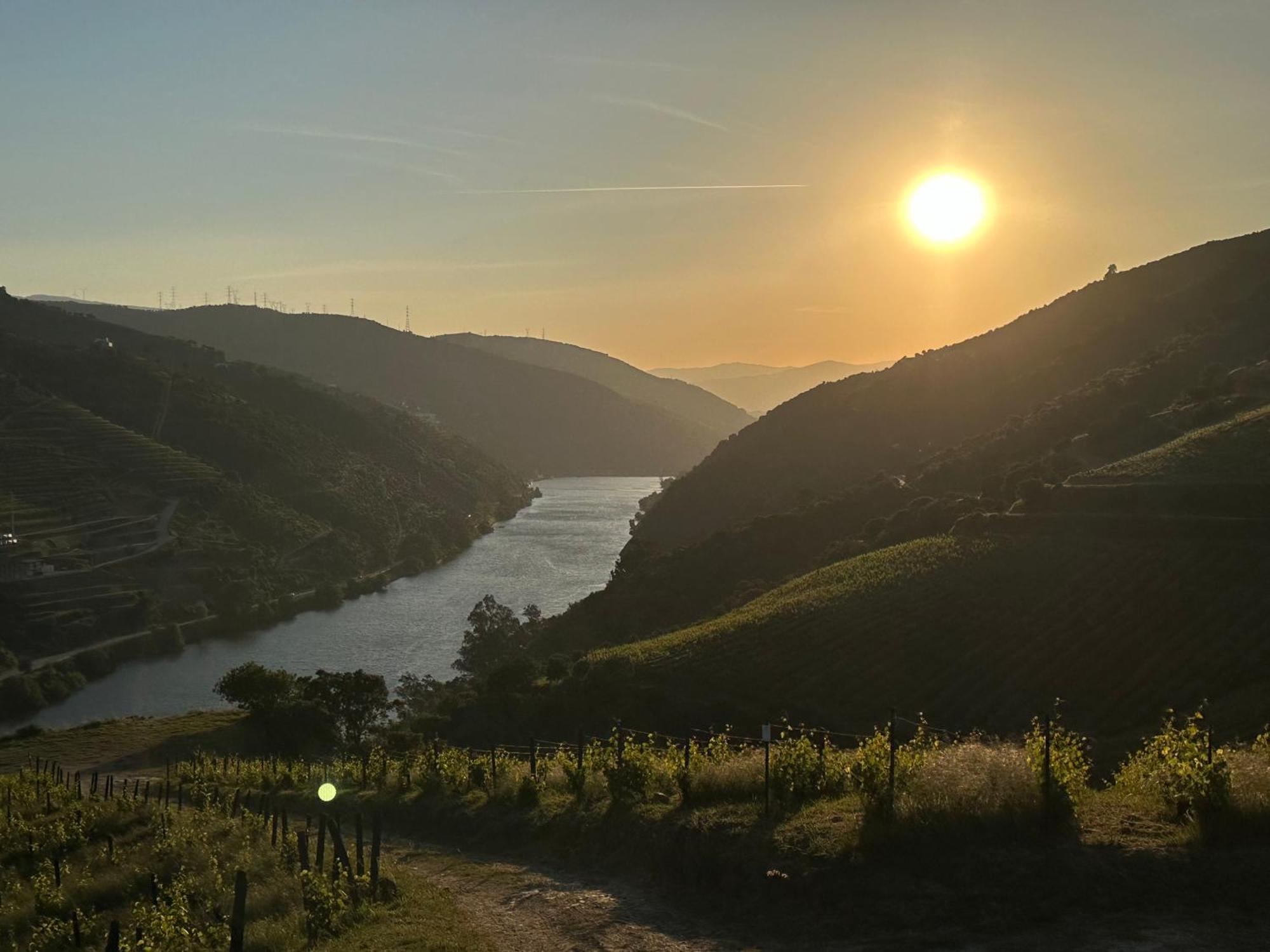 Pmdourovalley Peso da Regua Ngoại thất bức ảnh