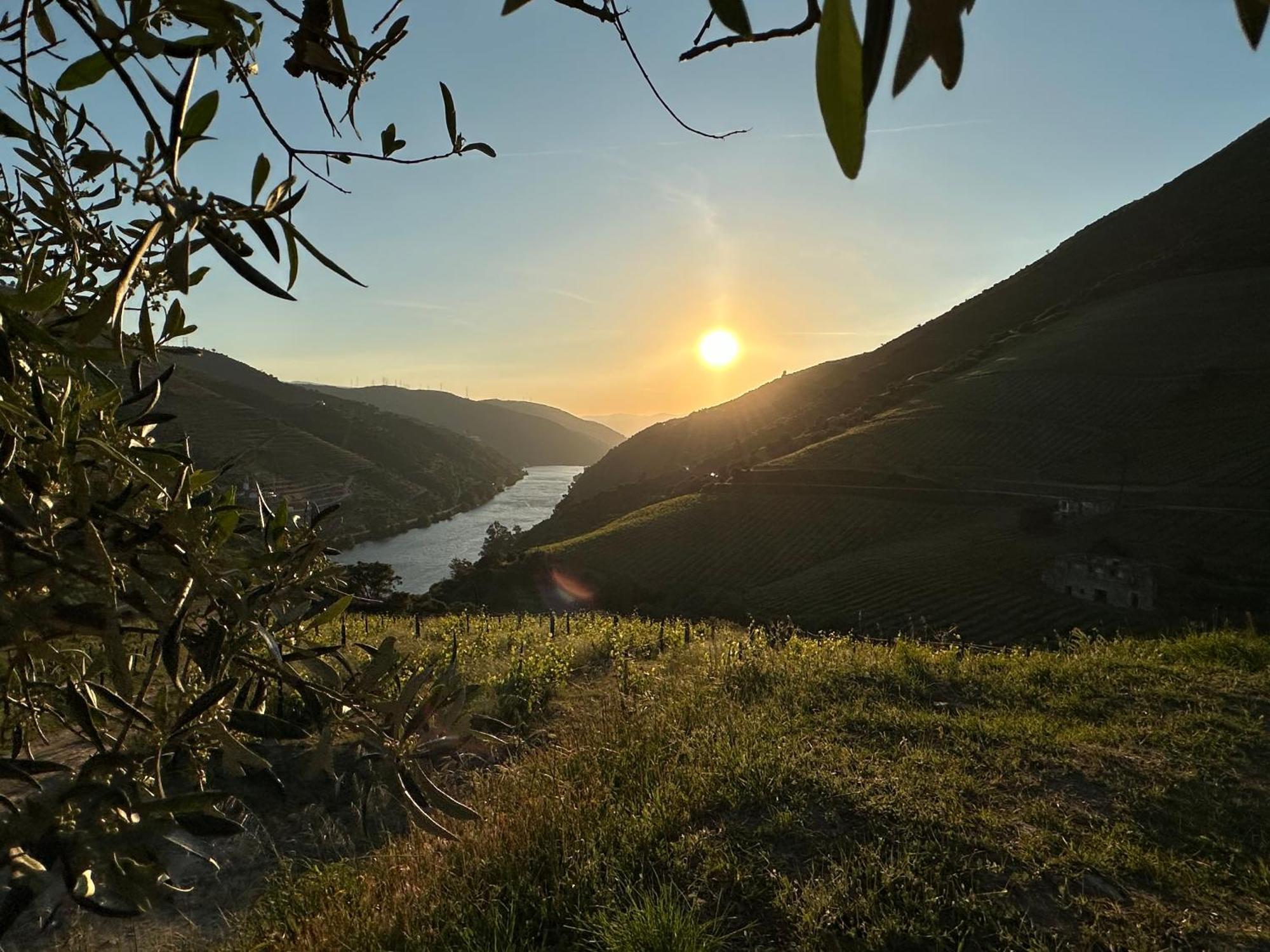 Pmdourovalley Peso da Regua Ngoại thất bức ảnh